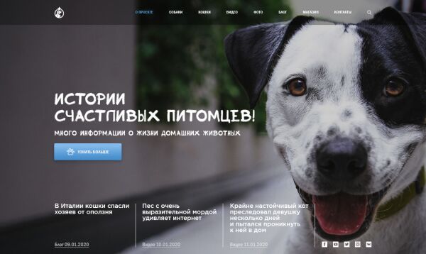 img3815128.png