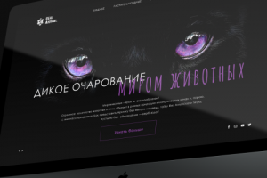 Концепция сайта  по тематике "Дикая природа"