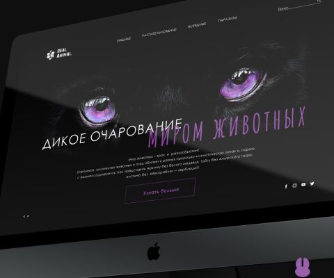 img3815120.png