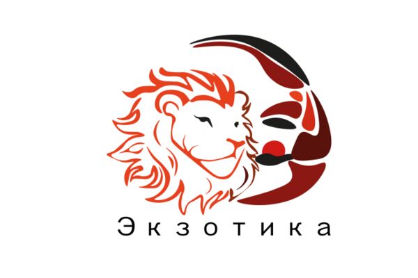 img4238992.png