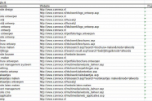 Продвижение голландского сайта
