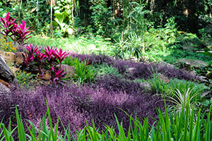 Любовь на воде