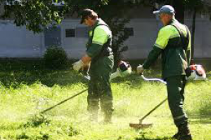 Продающая статья для сайта клининговых услуг