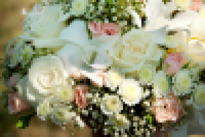 Свадебная фотосъёмка.