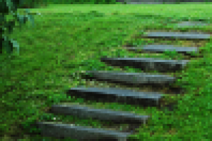 Свадебная фотосъёмка.