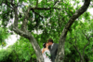 Свадебная фотосъёмка.