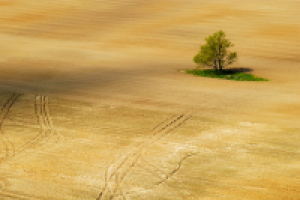 Фотосъёмка с вертолета.