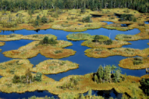 Фотосъёмка с вертолета.