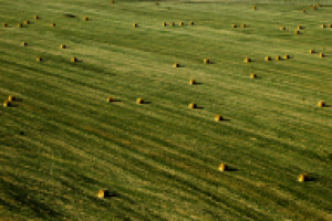 Фотосъёмка с вертолета.