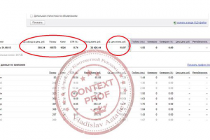 Работа 3310054