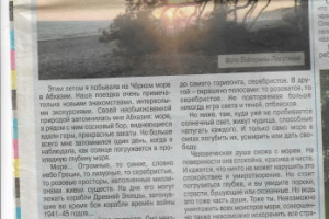 Работа 3967434