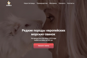Лендинг для магазина "Хомка"