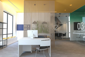 Концепция интерьера центра протезирования. СПБ. 2019г