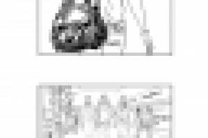 Раскадровка "Карнавал"