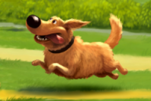 Собака гуляка