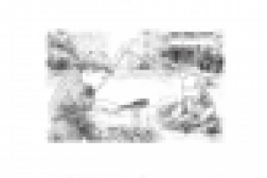 Квартал концепт