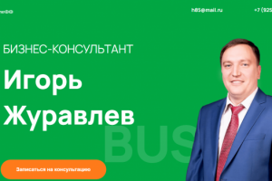 Лендинг на cms Wordpress Бизнес-консультант