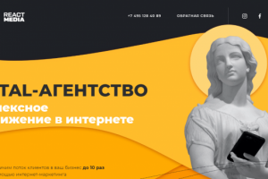 Лендинг на cms Wordpress React Media