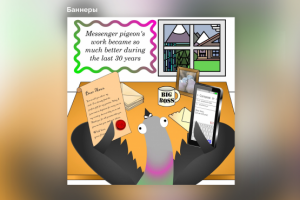 Работа голубя