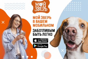 Баннер / Креатив для рекламы инстаграм и вк