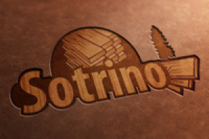 Логотип Сотрино
