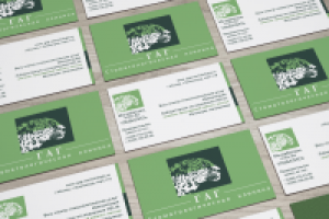 визитки для стоматологии ГАГ