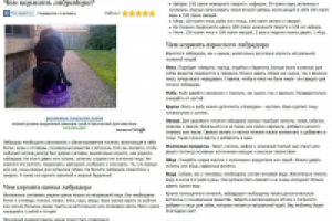 Чем кормить лабрадора