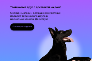 Happy Pet