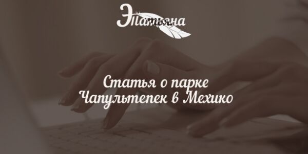 img3222221.png