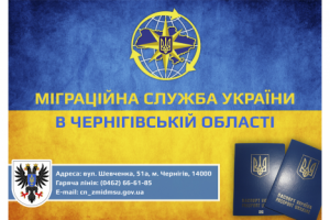 Афиша для миграционной службы