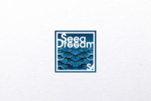 SeeaDreeam