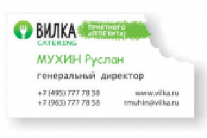 Вилка_утверждённый вариант