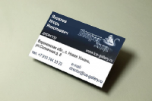 Визитка "Галерея льда"