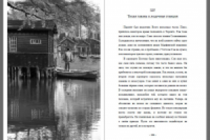 Между жизнью и жизнью (иллюстрация к книге)