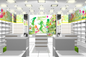 Сеть магазинов Весна (проект)