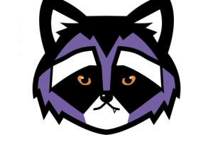 Логотип-маскот "Енот"