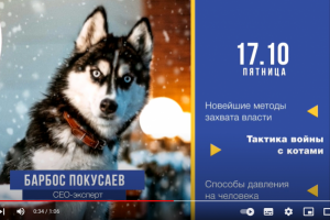 Пример презентации