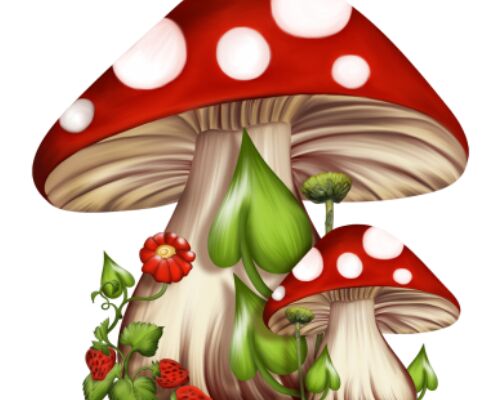 img3195464.png