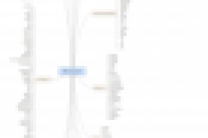 Mindmap на тему "мониторинг транспорта"