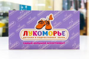 Логотип для детского обувного магазина "Лукоморье"