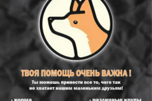 Благотворительная акция