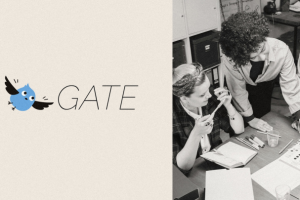 Концепт для PR-агентства GATE