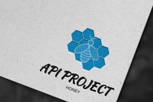 Api Project