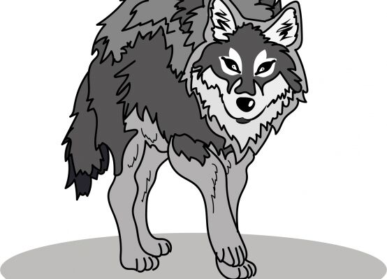 img4018257.png