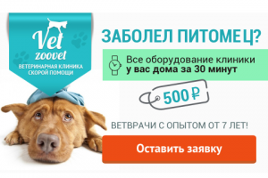 Работа 3459794