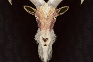 Баннер для нового сорта пива