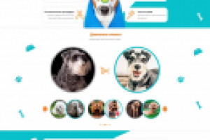 Лендинг для груминг салона