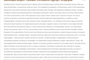 Бакейра-Берет