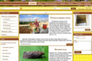 Сайт написан на самописном движке с админ-панелью.