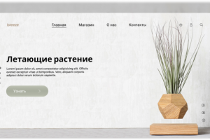 Первый экран магазина breeze с товаром Летающие растение